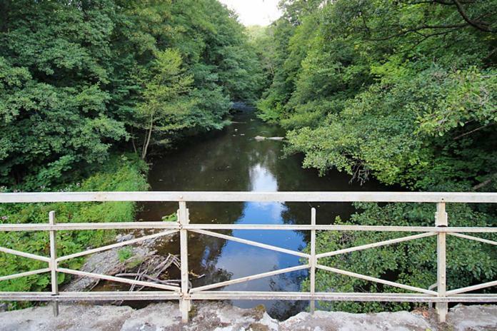 Ferienwohnungen Im Harz ألتينبراك المظهر الخارجي الصورة